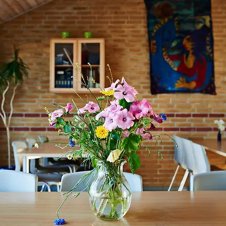 אכסניה Danhostel Fjaltring