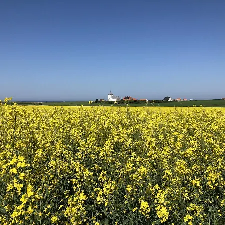 Danhostel אכסניה Fjaltring