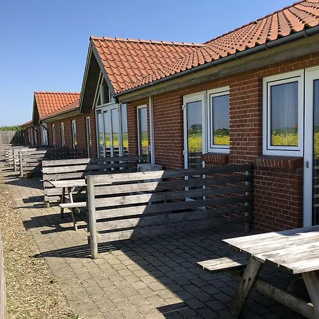 אכסניה Danhostel Fjaltring