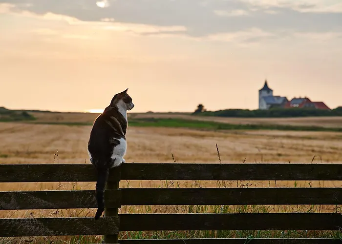 Danhostel Хостел